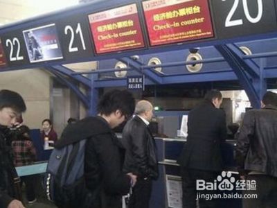 坐飞机怎么带宠物？
