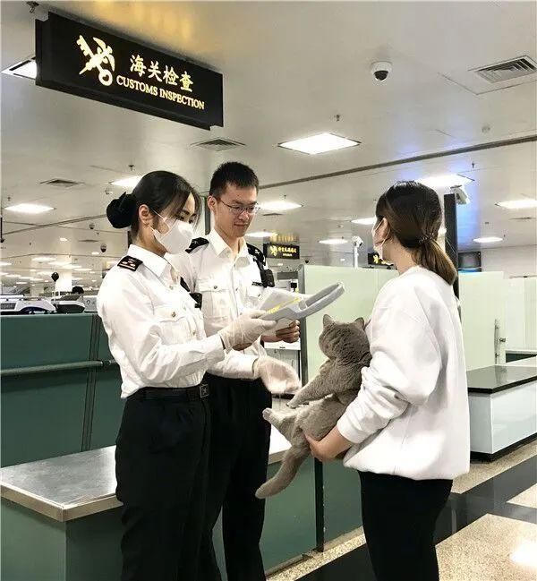 携带宠物出入境指南