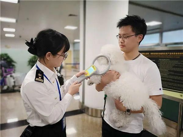 携带宠物出入境指南