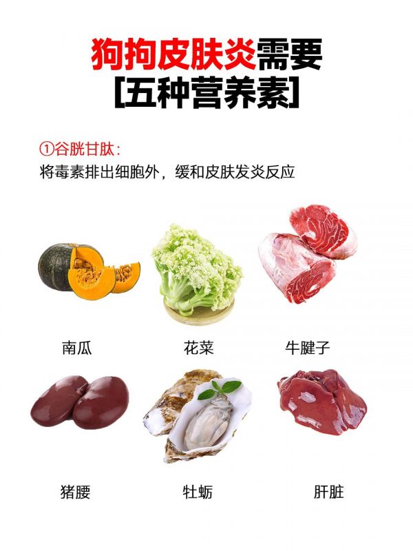 狗狗皮肤不好。多多补充这些营养食品哦#养狗经验分享 #狗狗皮肤病 #养狗人