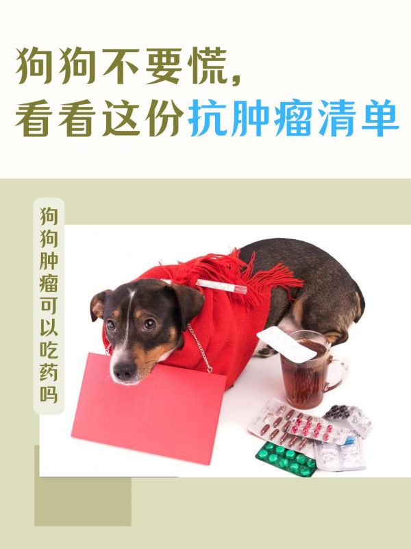 可以给狗狗吃什么能抑制肿瘤？药物治疗可以帮助减缓肿瘤的生长速度，控制肿瘤的扩散以及缓解相关的症状。 具体使用哪种药物取决于肿瘤的类型、大小和位置，以及狗狗的整体健康状况。 在狗狗肿瘤前期我们通可以给狗狗吃宠物活清解来抗肿瘤。 #狗肿瘤#狗肿瘤怎么办#宠物肿瘤
