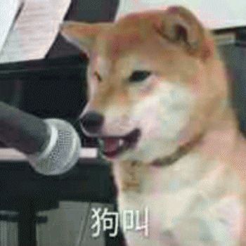 狗子成长所需要的营养、维生素和矿物质 宠物营养 | 什么是营养素的“生物利用率”