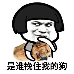 都是宠物干粮，膨化/风干/烘焙粮怎么区分?