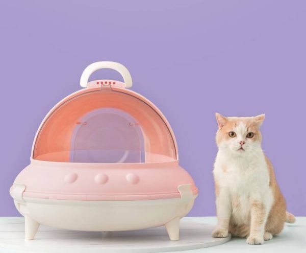 怎样训练宠物用猫砂_训练猫咪使用猫砂_猫砂需要训练吗