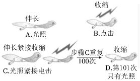 菁优网