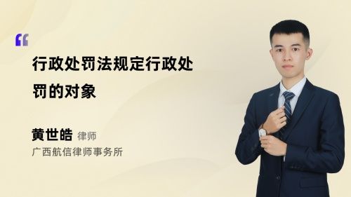 行政处罚法规定行政处罚的对象