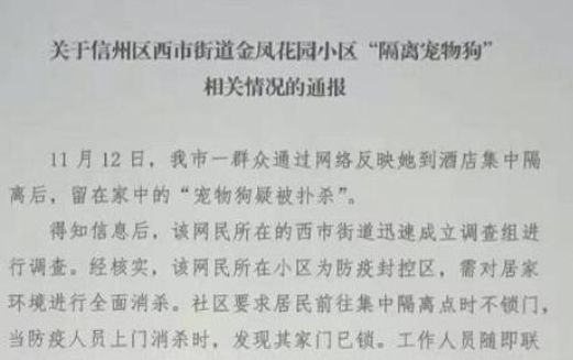 文明防疫应容得下一只无辜宠物狗