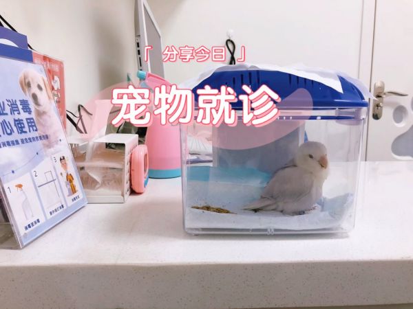 https://selfpage-gips.cdn.bcebos.com/0e8c11685d67ae30cbefbc9487ba5bb6.jpg