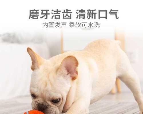 怀孕期狗狗的饮食注意事项（从营养）