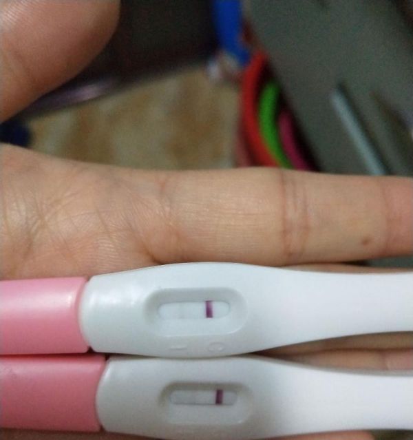 狗狗怀孕验孕棒的使用与注意事项（为宠物的健康生育保驾护航）