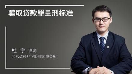 骗取贷款罪量刑标准