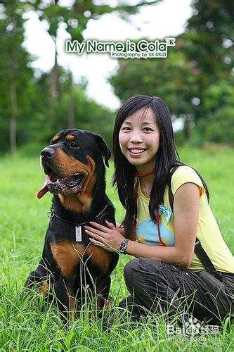 四个训练方法教狗狗学逗趣礼仪