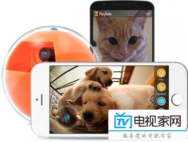 PlayDate智能宠物玩具球 随时观察你的宠物在干嘛?