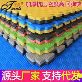 厂家批发拼接泡沫地垫100*100训练武术舞蹈垫跆拳道垫子高密度1米