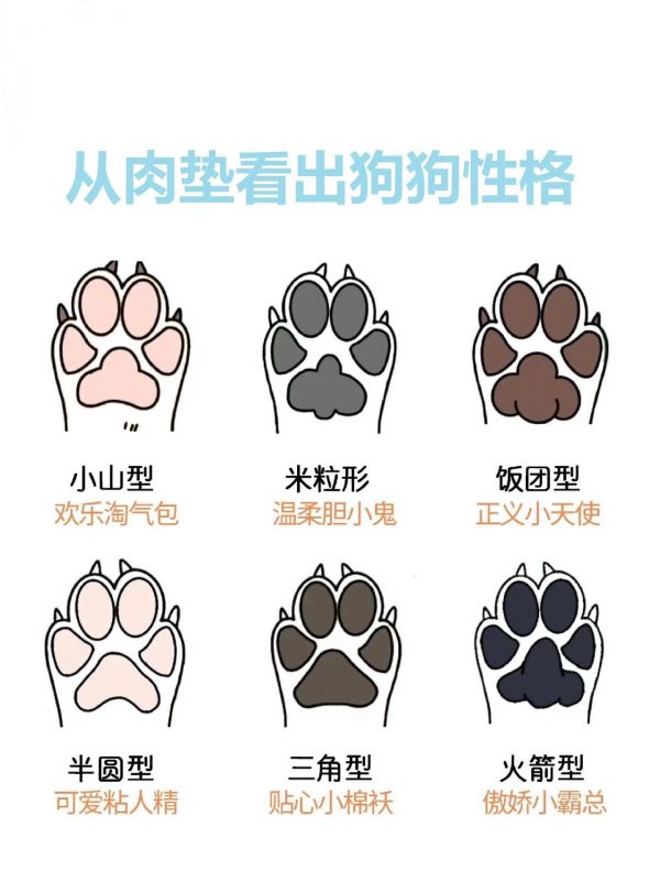 狗狗爪垫决定性格。你家狗狗爪垫什么形状？#新手养狗 #养狗经验分享 #狗 #养狗攻略