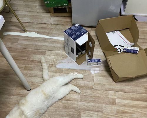 让你的猫咪不再抓沙发的秘密（宠物爱家居）