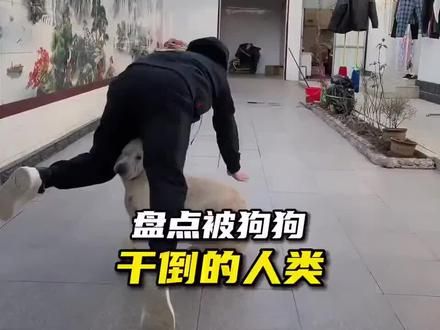 :全责 #动物成精系列 #围观 #意想不到的结局 #危险动作请勿模仿 #意不意外