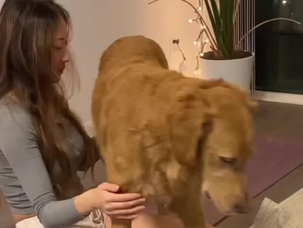 开心就是   #萌宠日常 #主人和狗子 #不养狗不知道养狗的乐趣