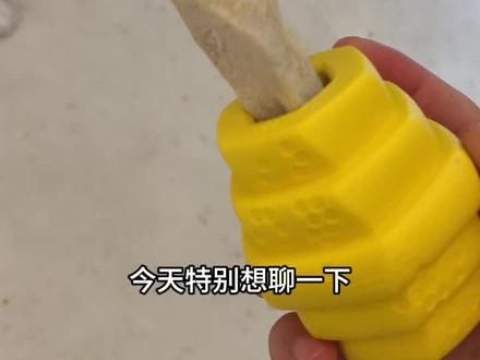 被问太多次 争取一次聊清狗狗磨牙零食误区 #狗狗磨牙零食 #新手养狗 #狗狗牙结石 #边牧 #养狗人
