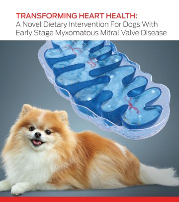 犬早期 mmvd 的新型膳食干预