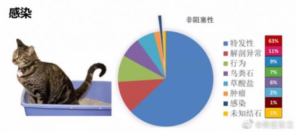 感染