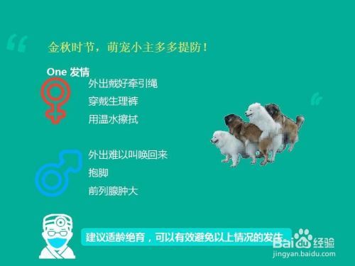如何应对宠物腹泻，家庭紧急处理方法？！