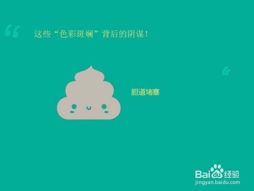 如何应对宠物腹泻，家庭紧急处理方法？！