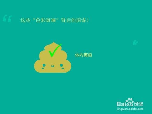 如何应对宠物腹泻，家庭紧急处理方法？！