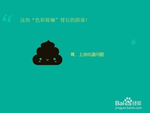 如何应对宠物腹泻，家庭紧急处理方法？！