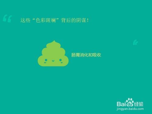 如何应对宠物腹泻，家庭紧急处理方法？！