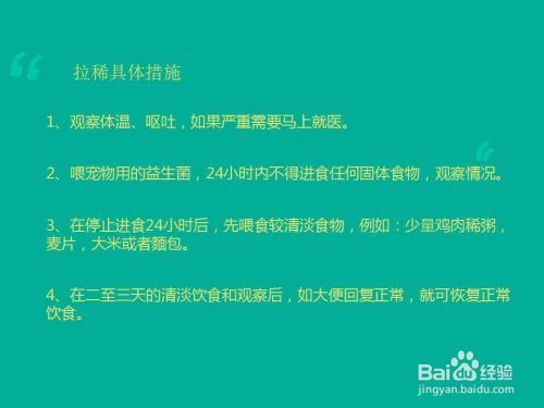如何应对宠物腹泻，家庭紧急处理方法？！