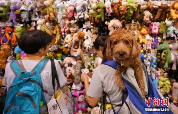香港优质宠物用品展开幕