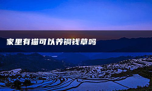 家里有猫可以养铜钱草吗