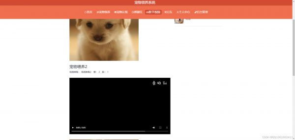 springboot138宠物领养系统的设计与实现13