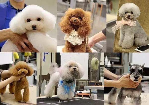 学员作品