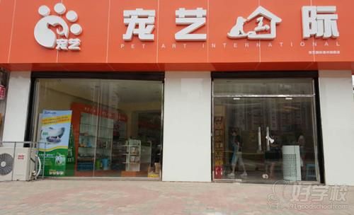 宠艺宠物美容学校店面