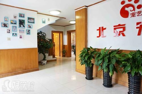 宠艺宠物美容学校校区环境