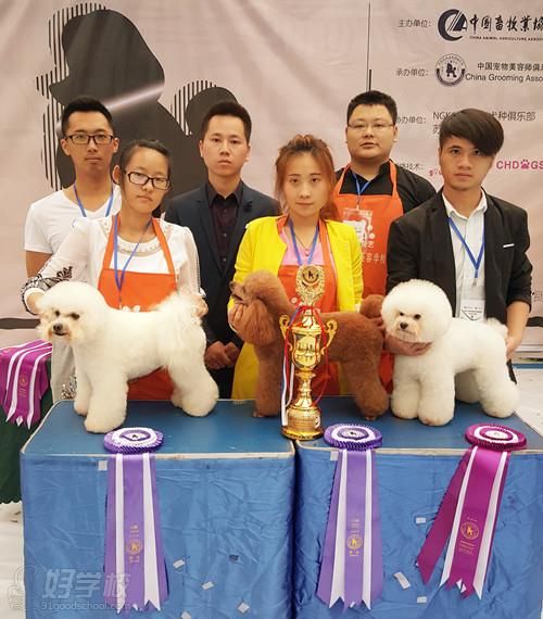 宠艺宠物美容学校学员比赛