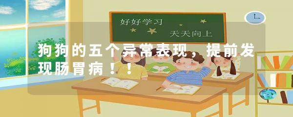 狗狗的五个异常表现,提前发现肠胃病!!