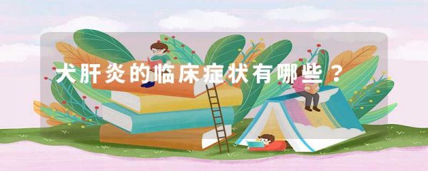 犬肝炎的临床症状有哪些?