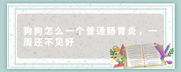 狗狗怎么一个普通肠胃炎,一周还不见好