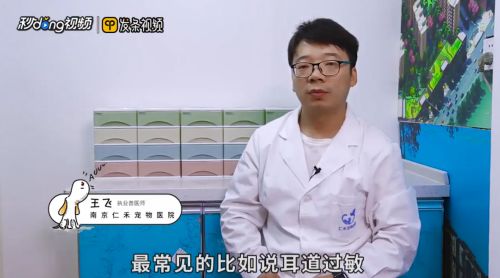 狗狗耳朵发炎怎么治疗