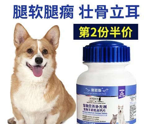 狗狗耳粉的神奇作用（宠物健康的必备护理品，让狗狗告别耳部问题）