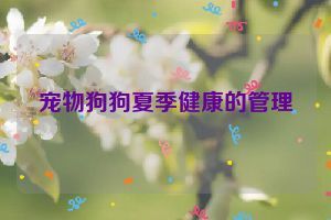 宠物狗狗夏季健康的管理