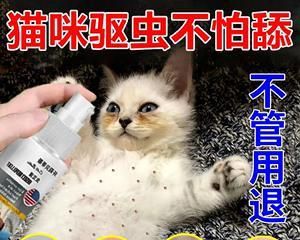 猫咪疥癣症，用药攻略一览（宠物也需要关爱）