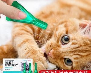 猫咪疥癣症，用药攻略一览（宠物也需要关爱）