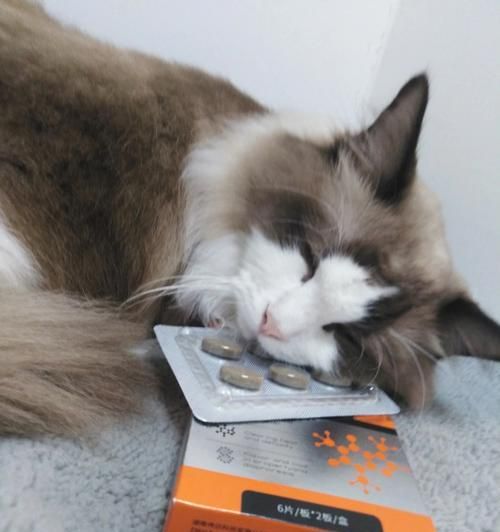 宠物猫咪如何正确使用生理盐水（以生理盐水怎么给猫咪吃为主题的全面指南）