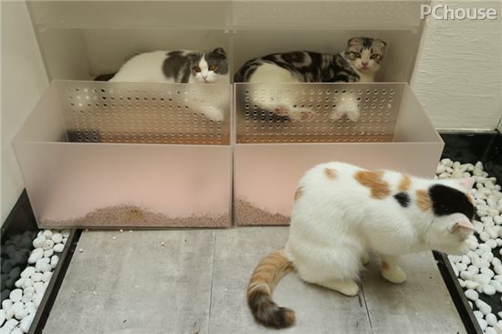 人猫房主房主争夺战 奇葩宠物之家大改造