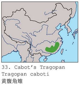 黄腹角雉地理分布图