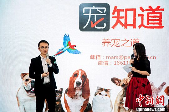 图为冠军项目路演现场。钟欣 摄